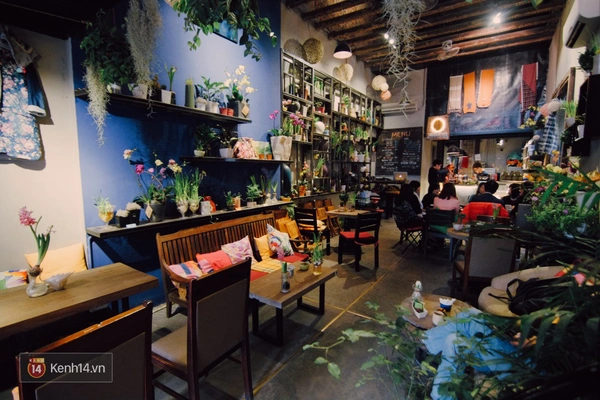 2 quán cafe xanh mướt đầy mát lành giữa Hà Nội ồn ào - Ảnh 3.