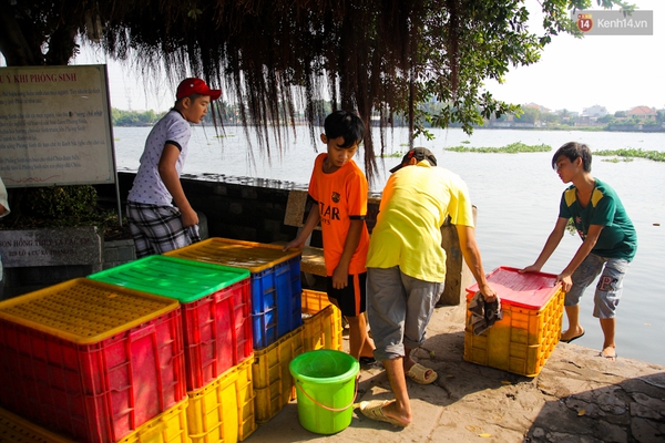 Sợ đội quân chích điện, người Sài Gòn thuê thuyền máy ra sông thả cá chép tiễn Táo quân - Ảnh 1.