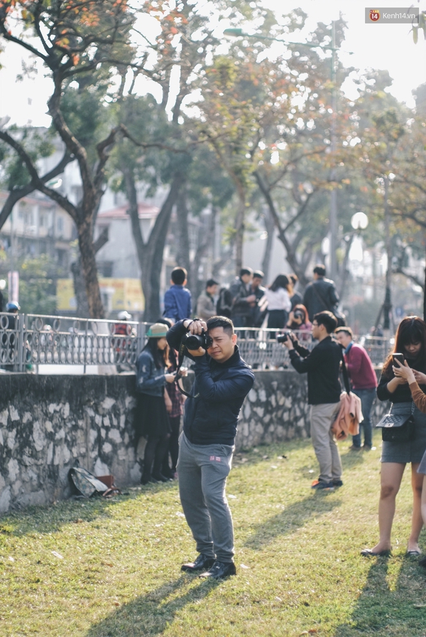 Cuối tuần bạn trẻ Hà Nội chen chân giẫm lên cỏ để tạo dáng ở đường bằng lăng lá đỏ Kim Mã - Ảnh 7.