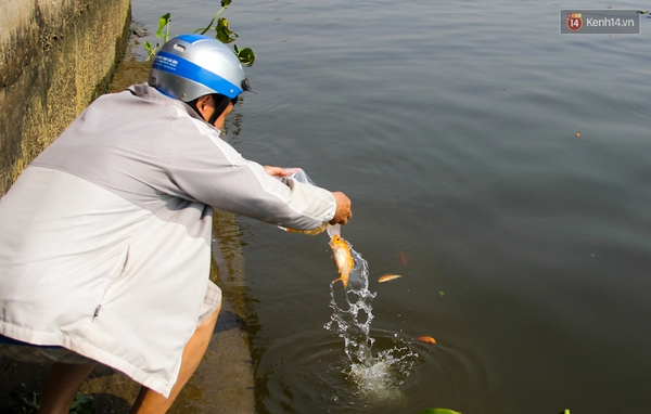 Sợ đội quân chích điện, người Sài Gòn thuê thuyền máy ra sông thả cá chép tiễn Táo quân - Ảnh 3.