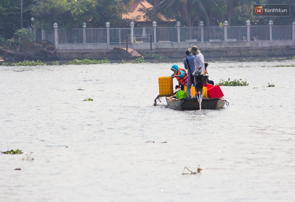 Sợ đội quân chích điện, người Sài Gòn thuê thuyền máy ra sông thả cá chép tiễn Táo quân - Ảnh 2.