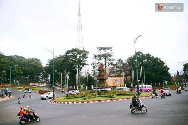 Bạn sẽ bất ngờ khi biết điều n&agrave;y: Cả th&agrave;nh phố Đ&agrave; Lạt kh&ocirc;ng hề c&oacute; đ&egrave;n xanh đ&egrave;n đỏ! - Ảnh 3.