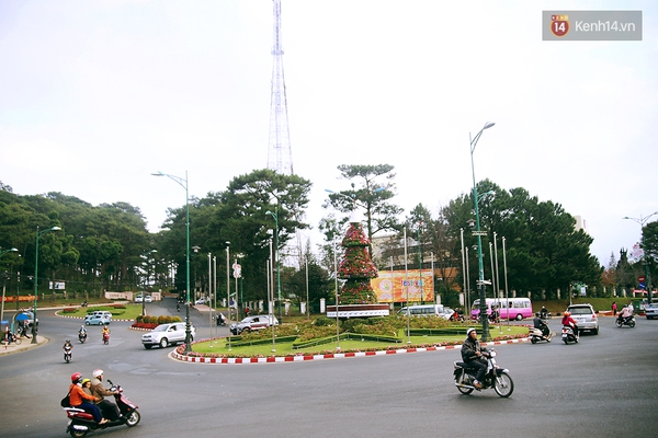 Bạn sẽ bất ngờ khi biết điều này: Cả thành phố Đà Lạt không hề có đèn xanh đèn đỏ! - Ảnh 3.