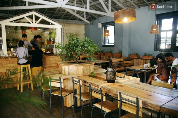 Những điều thú vị ở An - Quán cafe nằm giữa 5 cây mai anh đào cổ thụ tại Đà Lạt - Ảnh 22.