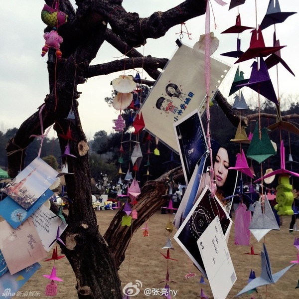 Fan trải đầy hoa trên mộ Diêu Bối Na một năm sau ngày cô mất vì ung thư - Ảnh 4.