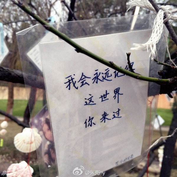 Fan trải đầy hoa trên mộ Diêu Bối Na một năm sau ngày cô mất vì ung thư - Ảnh 5.