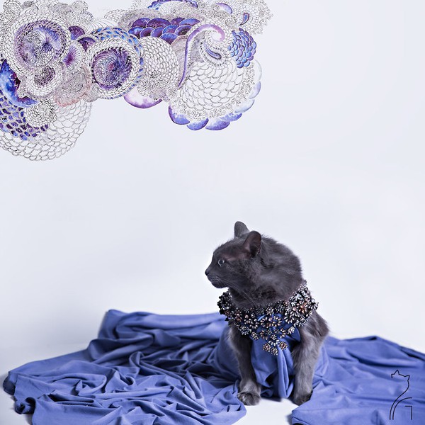 Nàng mèo xinh đẹp vượt khó trở thành fashionista sành điệu - Ảnh 11.