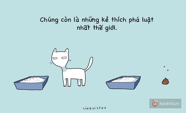 Xem xong bộ tranh n&agrave;y chắc chắn bạn sẽ muốn nu&ocirc;i một ch&uacute; m&egrave;o - Ảnh 12.