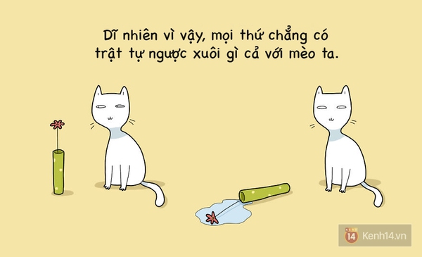 Xem xong bộ tranh n&agrave;y chắc chắn bạn sẽ muốn nu&ocirc;i một ch&uacute; m&egrave;o - Ảnh 13.