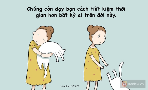 Xem xong bộ tranh n&agrave;y chắc chắn bạn sẽ muốn nu&ocirc;i một ch&uacute; m&egrave;o - Ảnh 14.