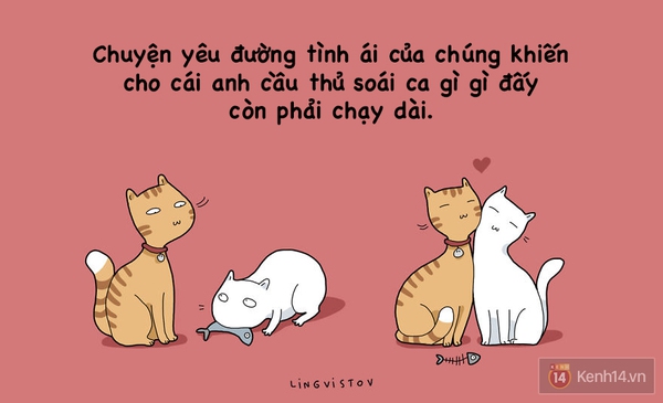 Xem xong bộ tranh n&agrave;y chắc chắn bạn sẽ muốn nu&ocirc;i một ch&uacute; m&egrave;o - Ảnh 17.