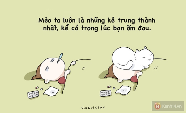 Xem xong bộ tranh n&agrave;y chắc chắn bạn sẽ muốn nu&ocirc;i một ch&uacute; m&egrave;o - Ảnh 2.
