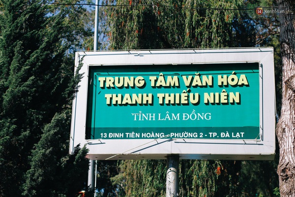 Không phải rừng thông, không phải Lữ Tấn, đây chính là địa điểm chụp ảnh đang hot nhất Đà Lạt! - Ảnh 1.