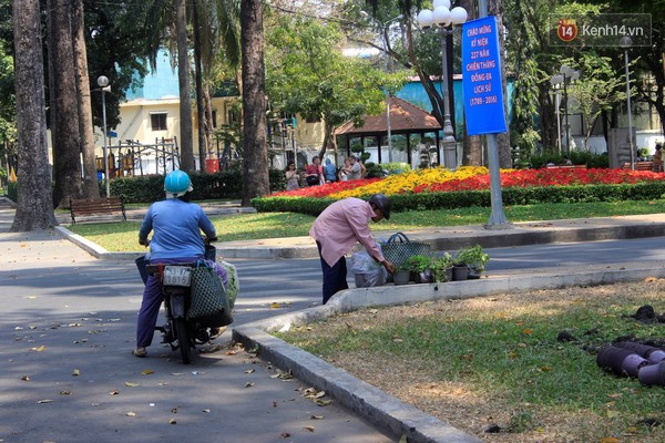 Hội hoa xu&acirc;n Tao Đ&agrave;n 2016 ch&iacute;nh thức đ&oacute;ng cửa, người d&acirc;n đến gom hoa về trồng - Ảnh 10.