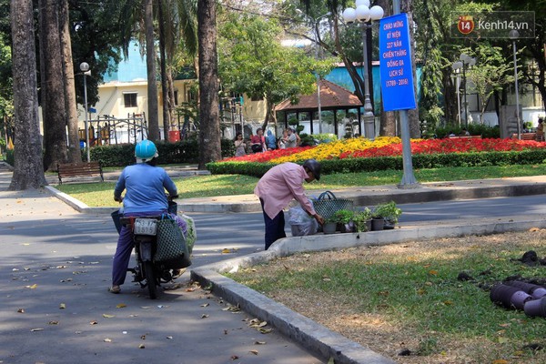 Hội hoa xuân Tao Đàn 2016 chính thức đóng cửa, người dân đến gom hoa về trồng - Ảnh 10.