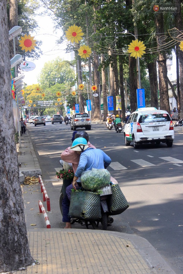 Hội hoa xu&acirc;n Tao Đ&agrave;n 2016 ch&iacute;nh thức đ&oacute;ng cửa, người d&acirc;n đến gom hoa về trồng - Ảnh 12.