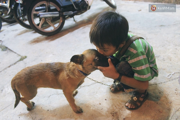 Cậu bé bán vé số và chú chó què: Milu là em út của em, em thương nó lắm! - Ảnh 1.