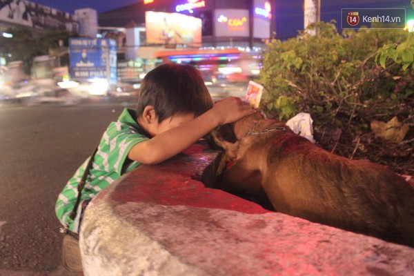 Cậu bé bán vé số và chú chó què: Milu là em út của em, em thương nó lắm! - Ảnh 9.