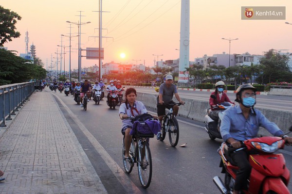 Đàn lợn rừng thả rông bốc mùi hôi trên tuyến đường nội đô đẹp nhất Sài Gòn - Ảnh 5.