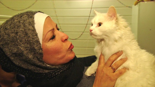 Sau 3 tháng mất tích ở Hy Lạp, chú mèo đoàn tụ với chủ ở Na Uy - Ảnh 2.