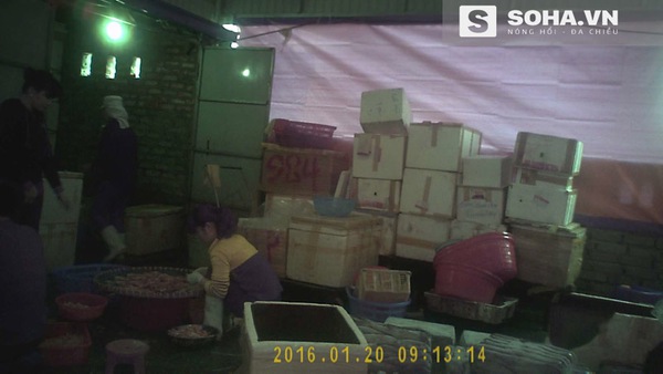 39.000 một kg mực tươi v&agrave; những chi&ecirc;u tr&ograve; ai cũng phải ớn lạnh - Ảnh 1.