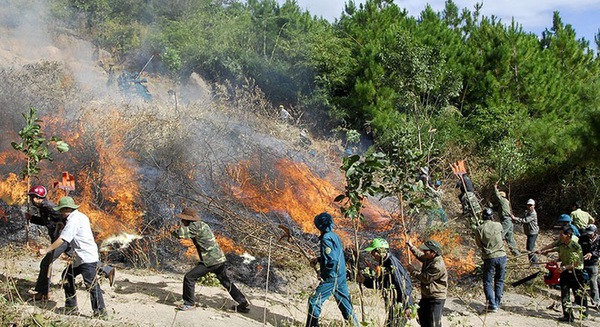 Hơn 200 người khống chế đám cháy ở vườn Quốc gia Hoàng Liên Sơn - Ảnh 1.