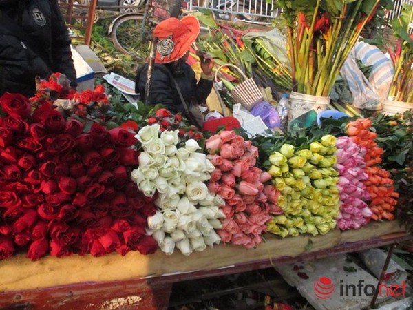 Khan hiếm, hoa hồng Valentine tăng giá mạnh - Ảnh 1.