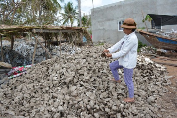 H&agrave;u chết la liệt, b&agrave; con n&ocirc;ng d&acirc;n Bến Tre chết đứng - Ảnh 1.