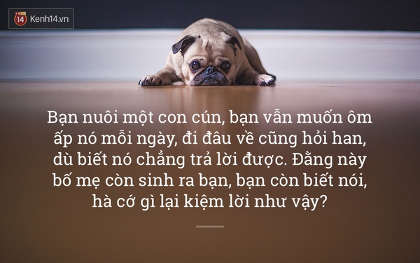 Thất tình chẳng là gì cả, đây mới là những thất bại thực sự của thế hệ chúng ta! - Ảnh 6.