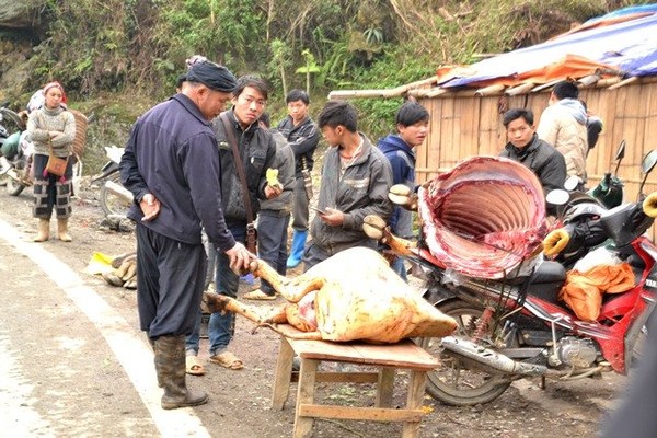 Rét tháng ba, trâu Sa Pa lại gục chết hàng loạt - Ảnh 11.