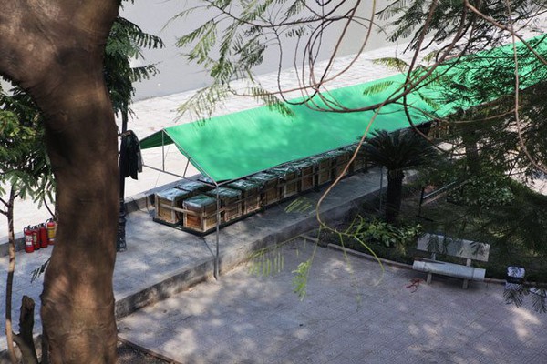 H&agrave; Nội: Trận địa ph&aacute;o hoa được bảo vệ nghi&ecirc;m ngặt trước giờ G - Ảnh 12.