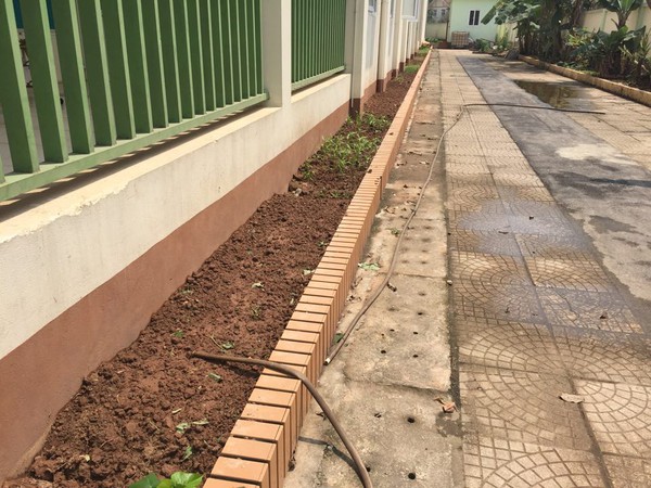 H&agrave; Nội: Trường dọa đuổi học sinh nếu phụ huynh trộm rau - Ảnh 4.