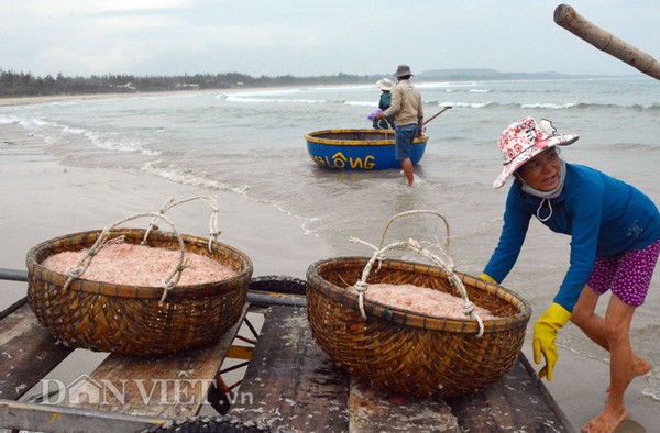 Ngon như ruốc biển không nhuộm phẩm màu - Ảnh 4.