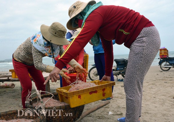 Ngon như ruốc biển không nhuộm phẩm màu - Ảnh 5.