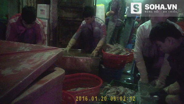 39.000 một kg mực tươi v&agrave; những chi&ecirc;u tr&ograve; ai cũng phải ớn lạnh - Ảnh 2.