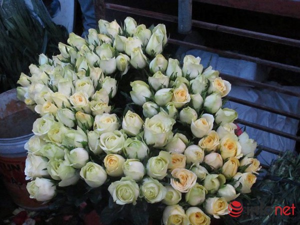 Khan hiếm, hoa hồng Valentine tăng giá mạnh - Ảnh 2.