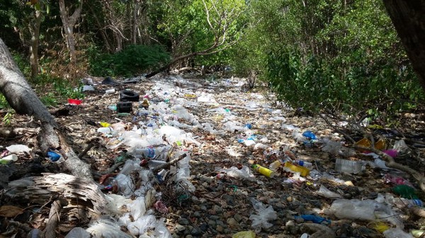 R&aacute;c tr&agrave;n ngập C&ocirc;n Đảo, kiểm l&acirc;m dọn kh&ocirc;ng xuể! - Ảnh 2.