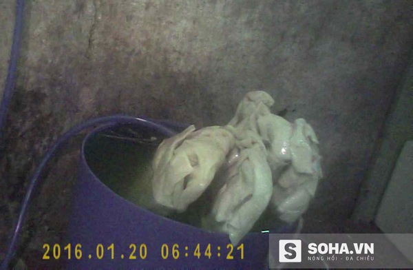 39.000 một kg mực tươi v&agrave; những chi&ecirc;u tr&ograve; ai cũng phải ớn lạnh - Ảnh 3.