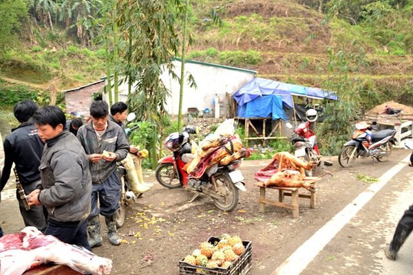 R&eacute;t th&aacute;ng ba, tr&acirc;u Sa Pa lại gục chết h&agrave;ng loạt - Ảnh 3.