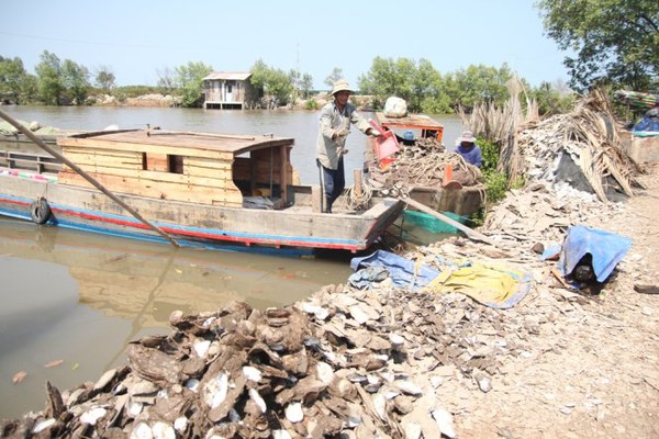 H&agrave;u chết la liệt, b&agrave; con n&ocirc;ng d&acirc;n Bến Tre chết đứng - Ảnh 5.