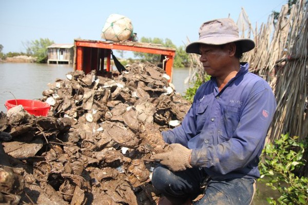 H&agrave;u chết la liệt, b&agrave; con n&ocirc;ng d&acirc;n Bến Tre chết đứng - Ảnh 6.