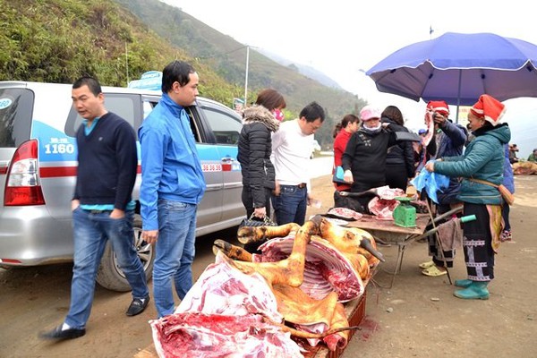R&eacute;t th&aacute;ng ba, tr&acirc;u Sa Pa lại gục chết h&agrave;ng loạt - Ảnh 8.