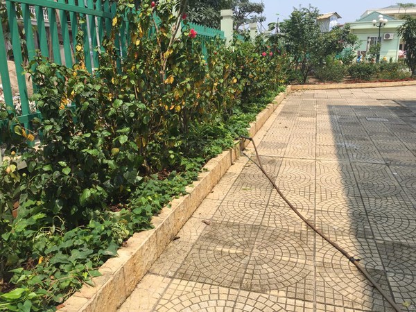 H&agrave; Nội: Trường dọa đuổi học sinh nếu phụ huynh trộm rau - Ảnh 3.