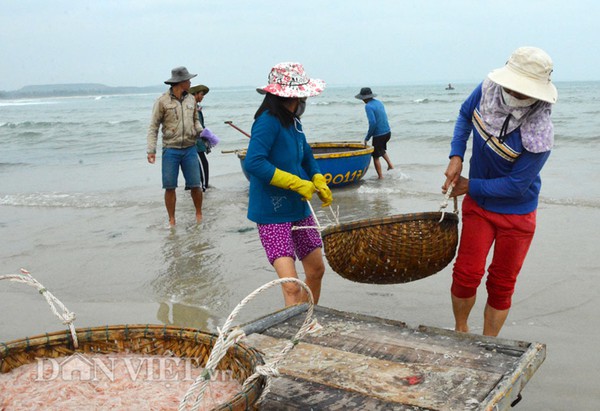 Ngon như ruốc biển không nhuộm phẩm màu - Ảnh 3.