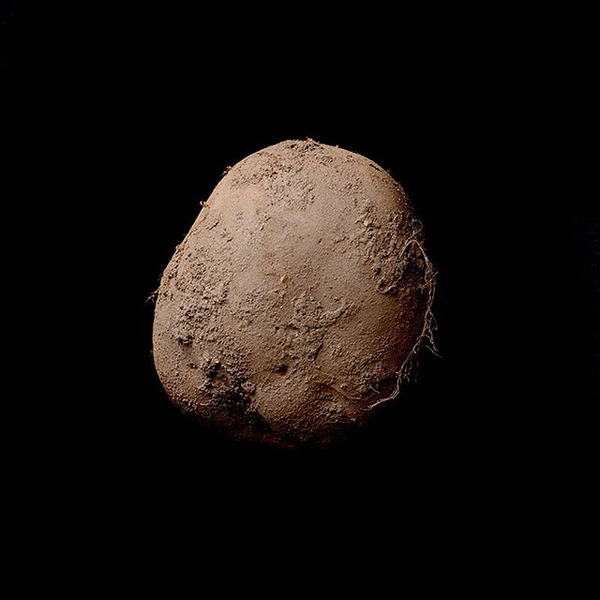 Bức ảnh củ khoai tây này trị giá tới 1 triệu USD - Ảnh 1.