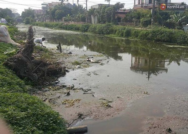 Người dân bịt khẩu trang rửa rau ở rãnh nước… thải đầy phân: Địa phương chưa có chế tài xử lý - Ảnh 1.