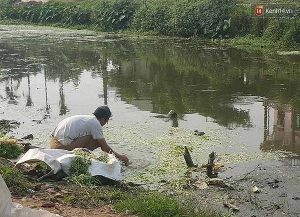 Người dân bịt khẩu trang rửa rau ở rãnh nước… thải đầy phân: Địa phương chưa có chế tài xử lý - Ảnh 3.