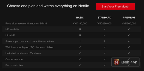 Netflix sắp cung cấp phim bản quyền trả phí tại Việt Nam - Ảnh 2.