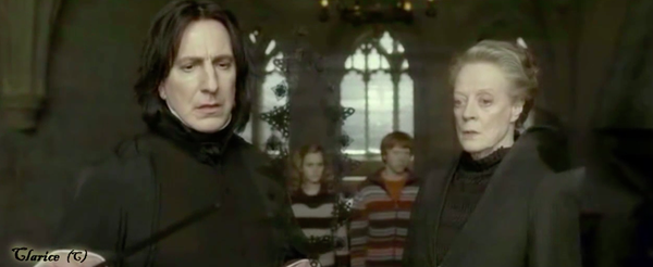 Severus Snape - Người cả thế hệ mê đắm series phim Harry Potter đều trân trọng - Ảnh 14.