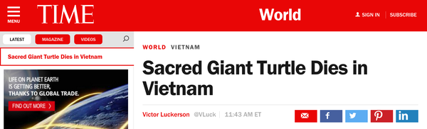 Báo chí thế giới đồng loạt đưa tin về cái chết của cụ Rùa hồ Gươm - Ảnh 3.